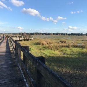 Meet your Posher, Debbie